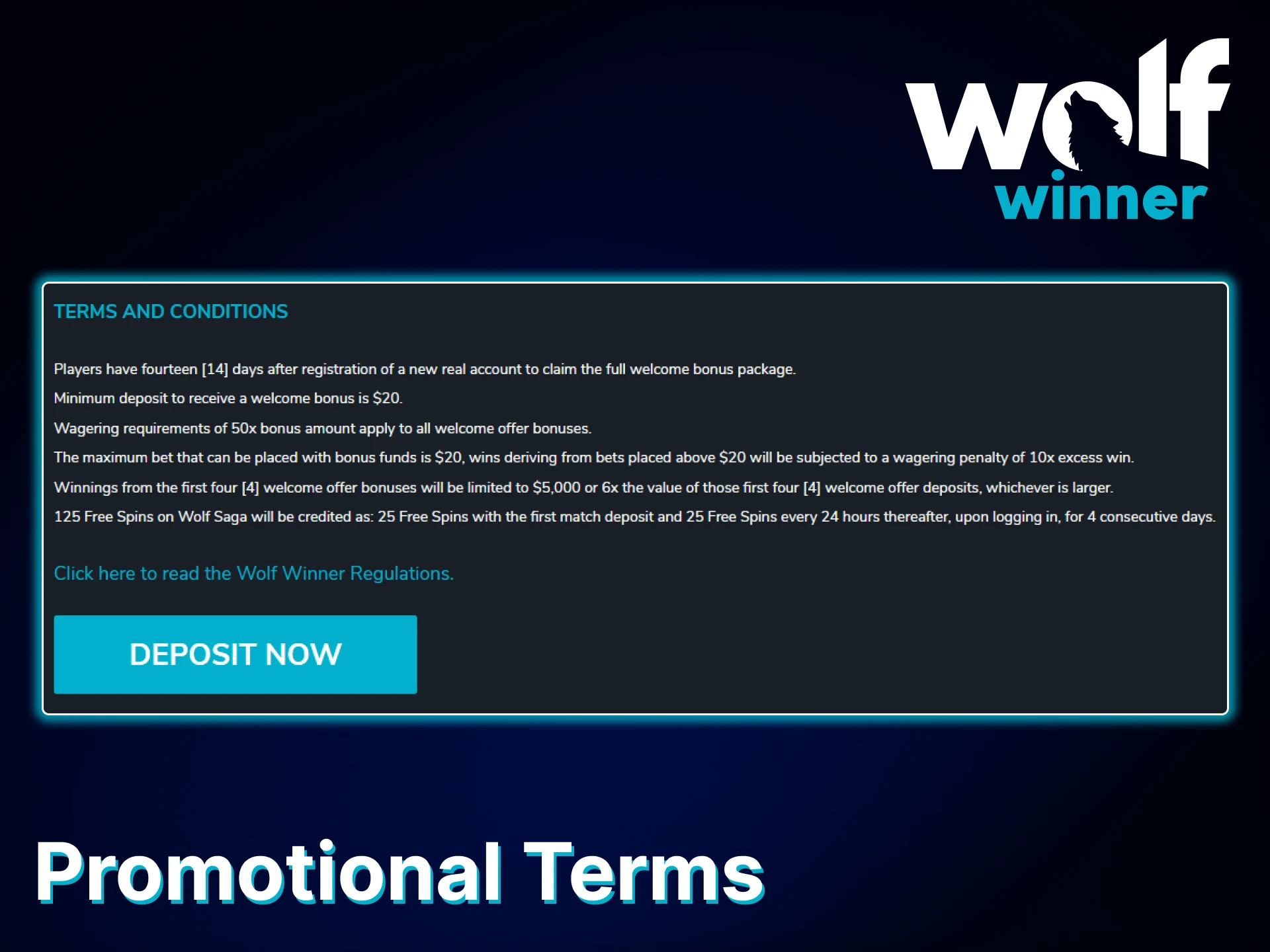 Wolf Winner promotional offers have a number of conditions.