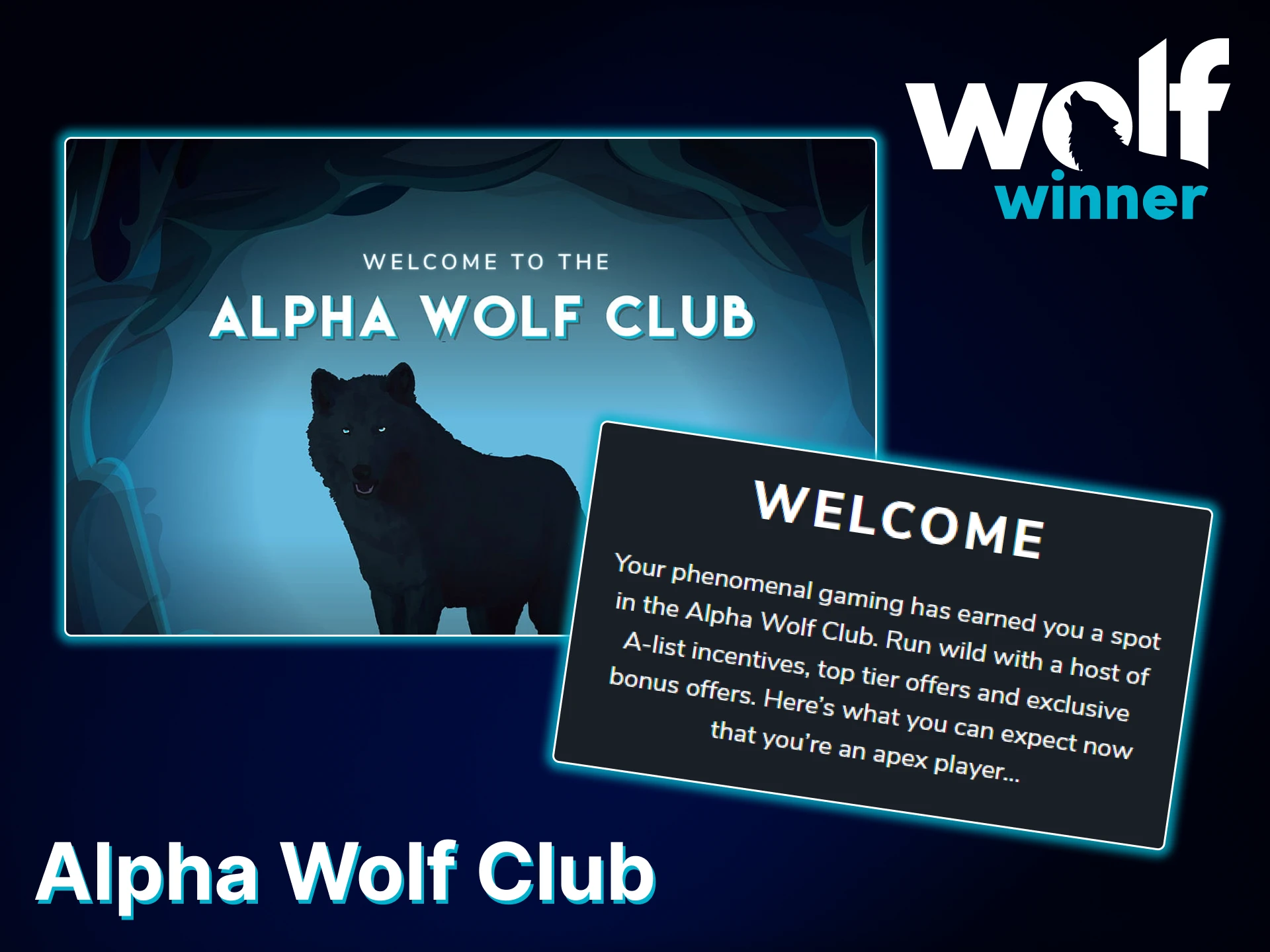 Get exclusive rewards by joining the Alpha Wolf Club at Wolf Winner.