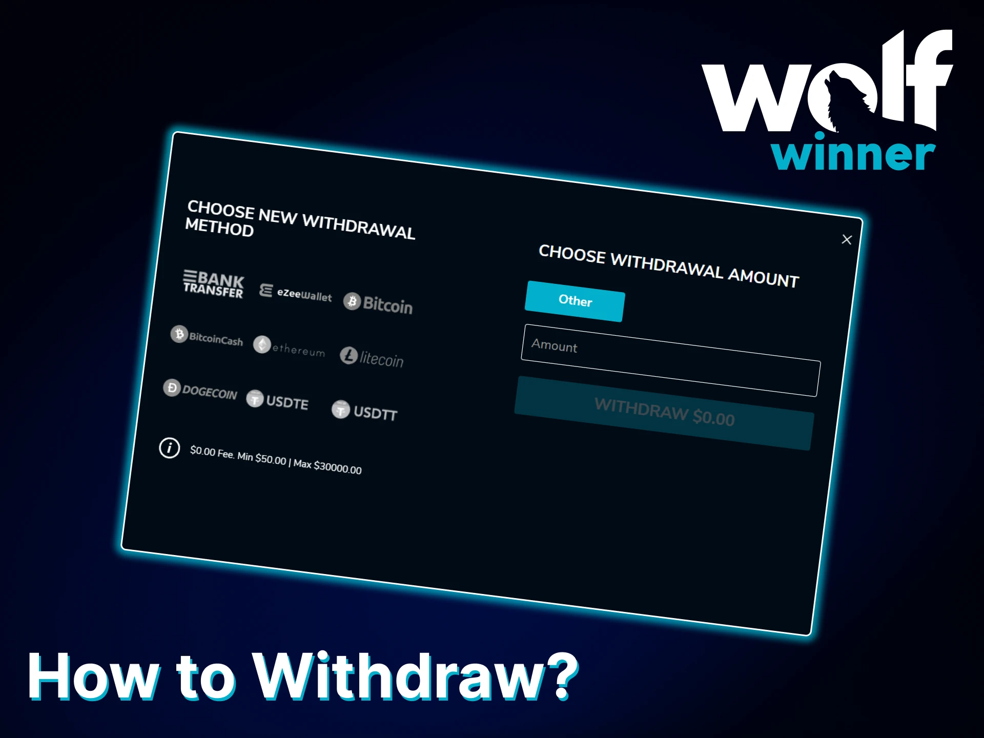 Withdraw your money from the Wolf Winner platform.