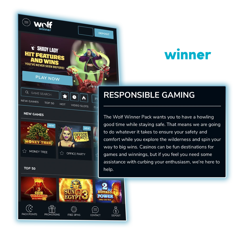 Treat your gaming at Wolf Winner Casino responsibly and don't forget to take breaks.