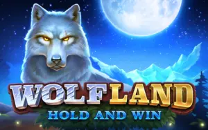 Sign up and play Wolf Land Hold and Win at Wolf Winner casino.